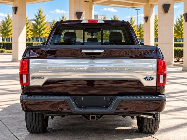 2019 Ford F-150 Platinum Pickup 4D 5 1/2 ft