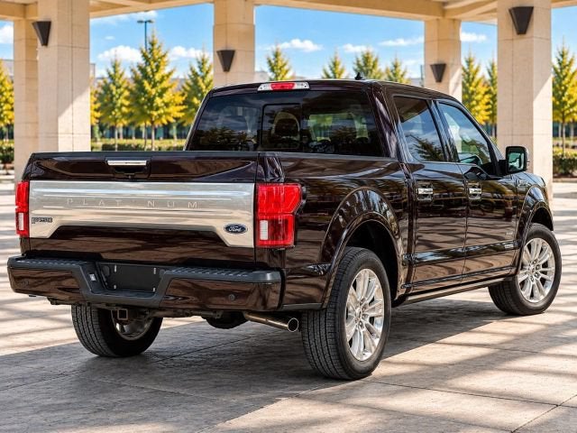 2019 Ford F-150 Platinum Pickup 4D 5 1/2 ft